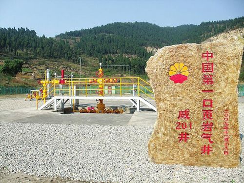 参与完成中国第一口页岩气井的试用开发